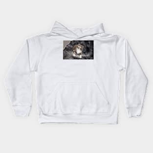 lovely cats Kids Hoodie